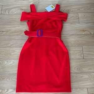 NWT Belle Badgley Mischka Rosie Dress! Size 2